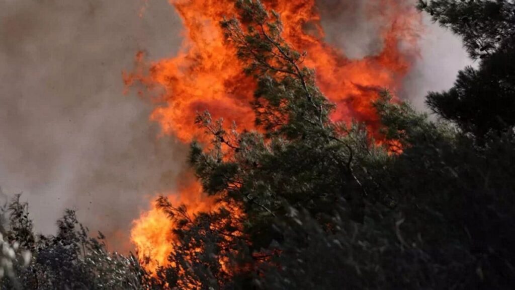 κάρυστος-έβαζα-φωτιά-και-ανέβαζα-post-στ-1753261