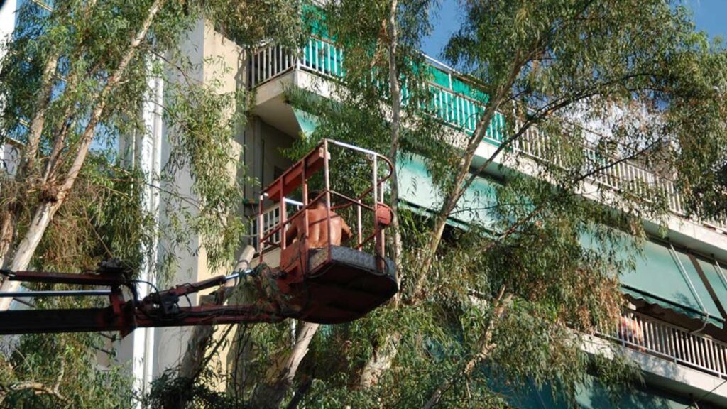 εργασίες-κλαδέματος-αύριο-σε-δρόμους-1802398