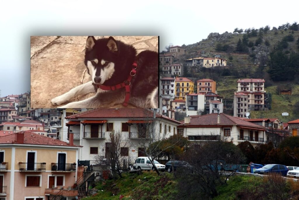 αράχωβα-τι-δείχνει-βίντεο-που-εξετάζο-1809862