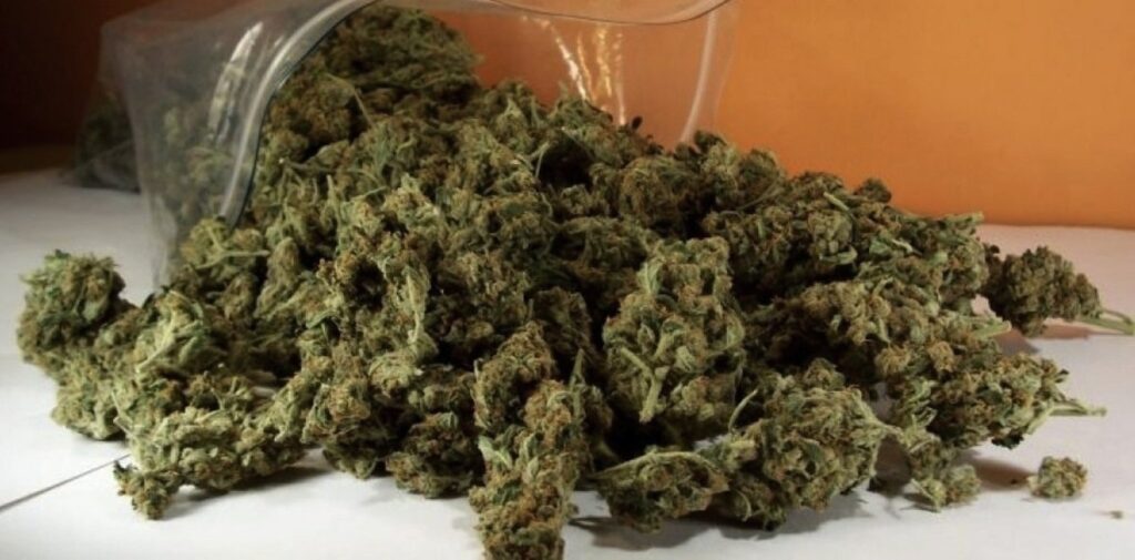 κρήτη-κυκλοφορούσε-με-πάστα-κάνναβης-1834578