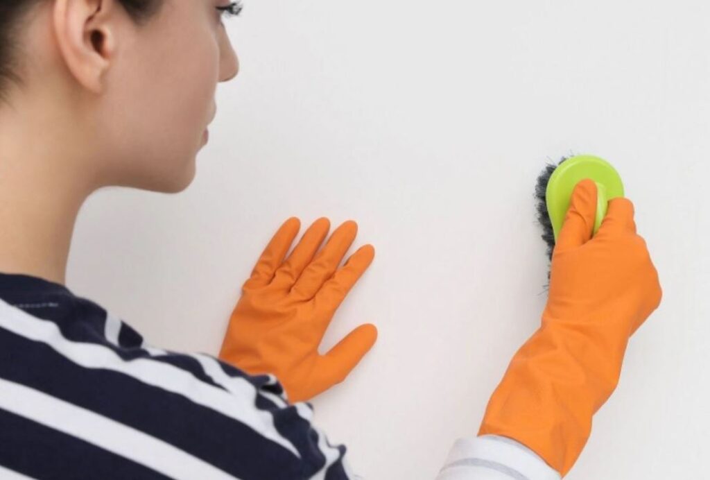 συμβουλές-πρόληψης-για-τη-μούχλα-1825491