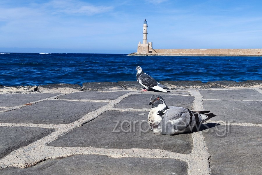 ξεκαθάρισε-ο-καιρός-για-το-επόμενο-δίμ-1842796