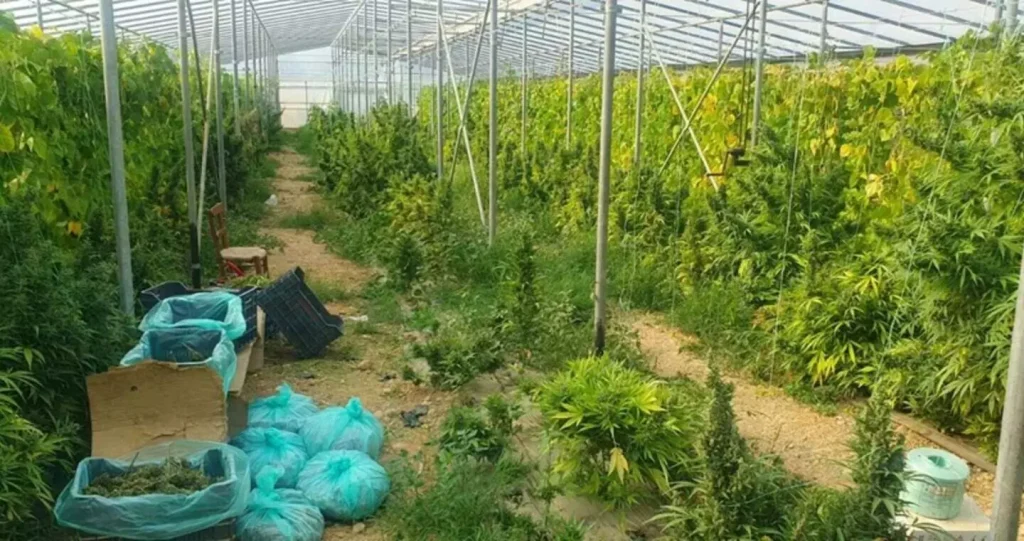 κρήτη-έξι-χρόνια-κάθειρξη-στα-αδέρφια-1858497