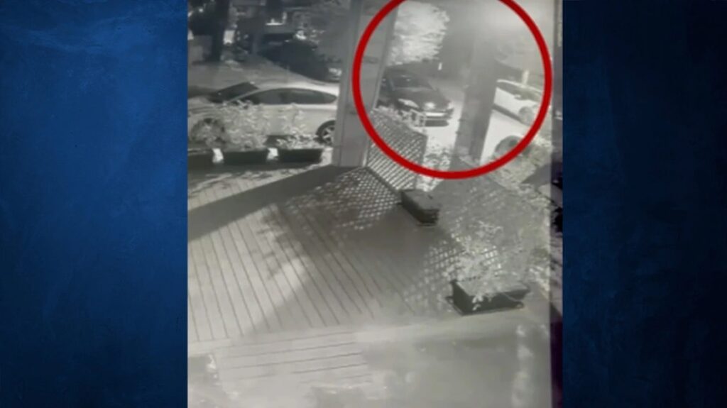 69χρονη-πέταξε-στα-σκουπίδια-4-κουταβάκι-1882397