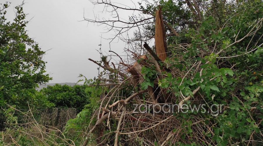 ζημιές-από-τον-αέρα-στα-χανιά-έσπασε-1887089