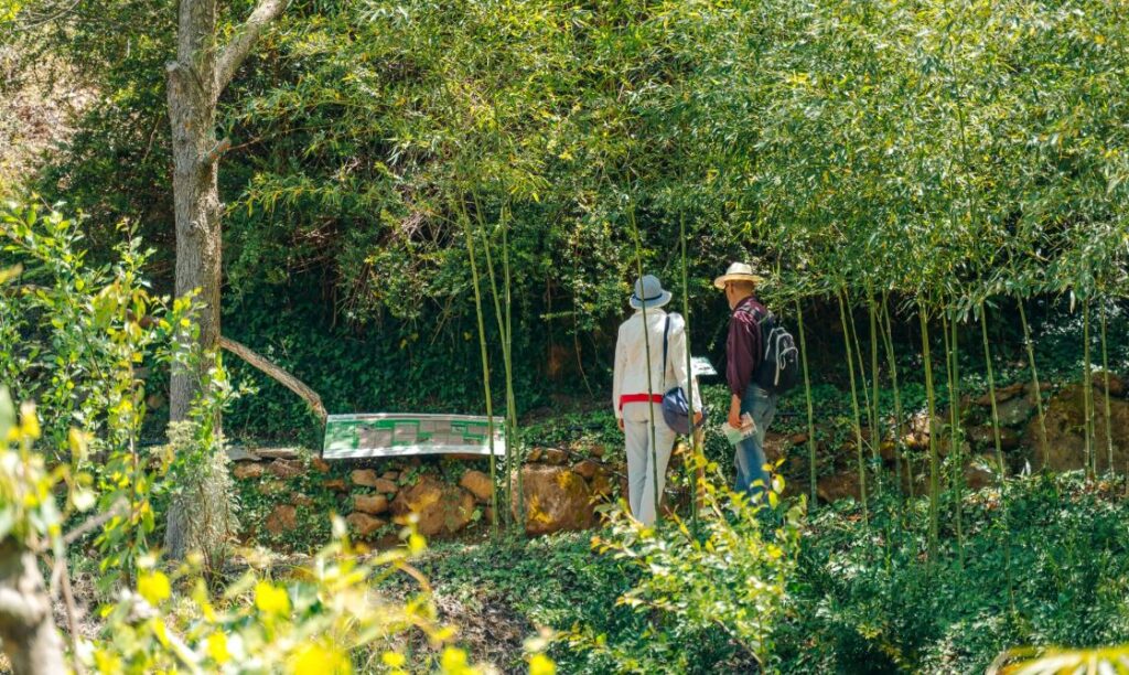 χανιά-στο-βοτανικό-πάρκο-η-επόμενη-πεζ-1883275