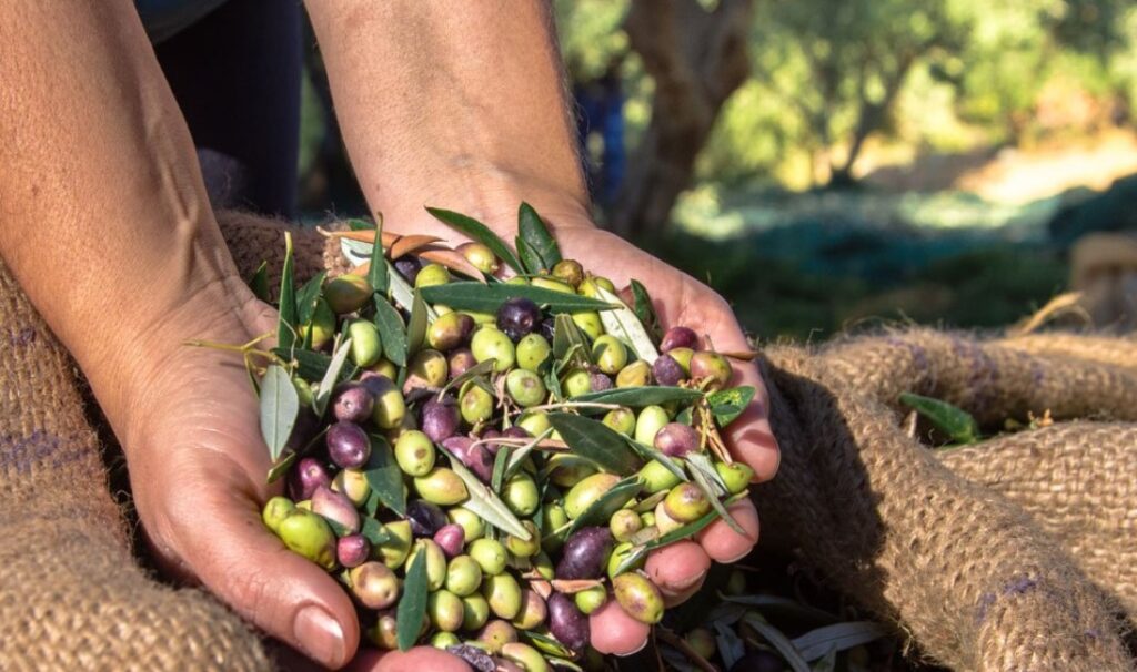 κρήτη-παράταση-στην-εφαρμογή-του-ψηφι-1913438