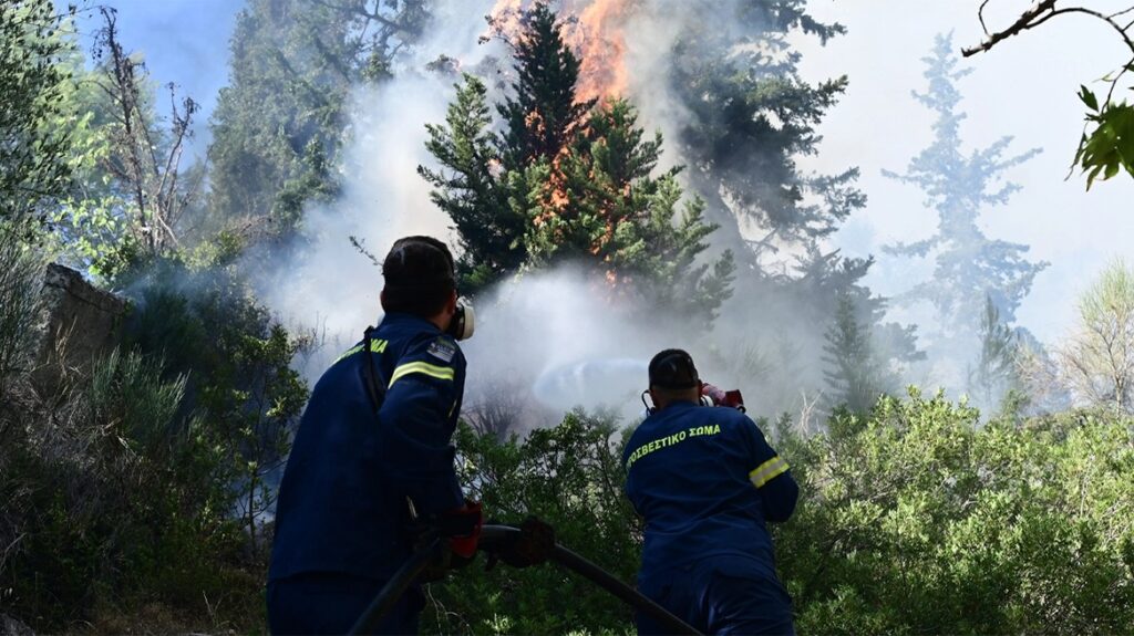 η-44χρονη-που-συνελήφθη-για-εμπρησμό-έβ-1951349