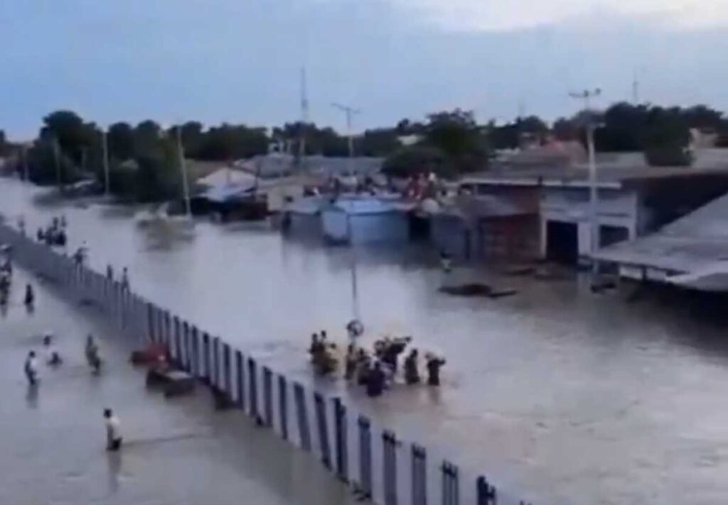 όπου-φύγει-φύγει-κροκόδειλοι-και-φίδ-1958586