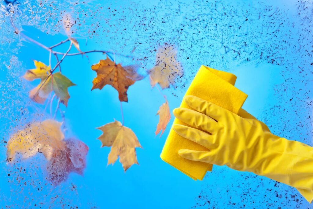 μούχλα-το-εύκολο-κόλπο-για-να-απαλλαχθ-1965364