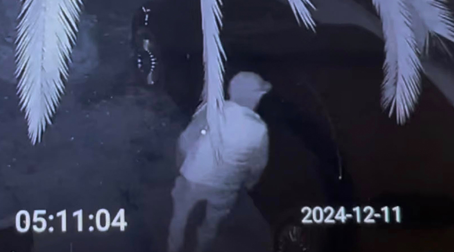 χανιά-αυτό-το-αυτοκίνητο-του-άρεσε-κ-2004853