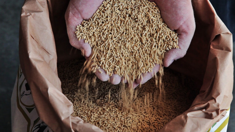 χανιά-υποχρεώσεις-επιχειρήσεων-ζωοτ-2018720