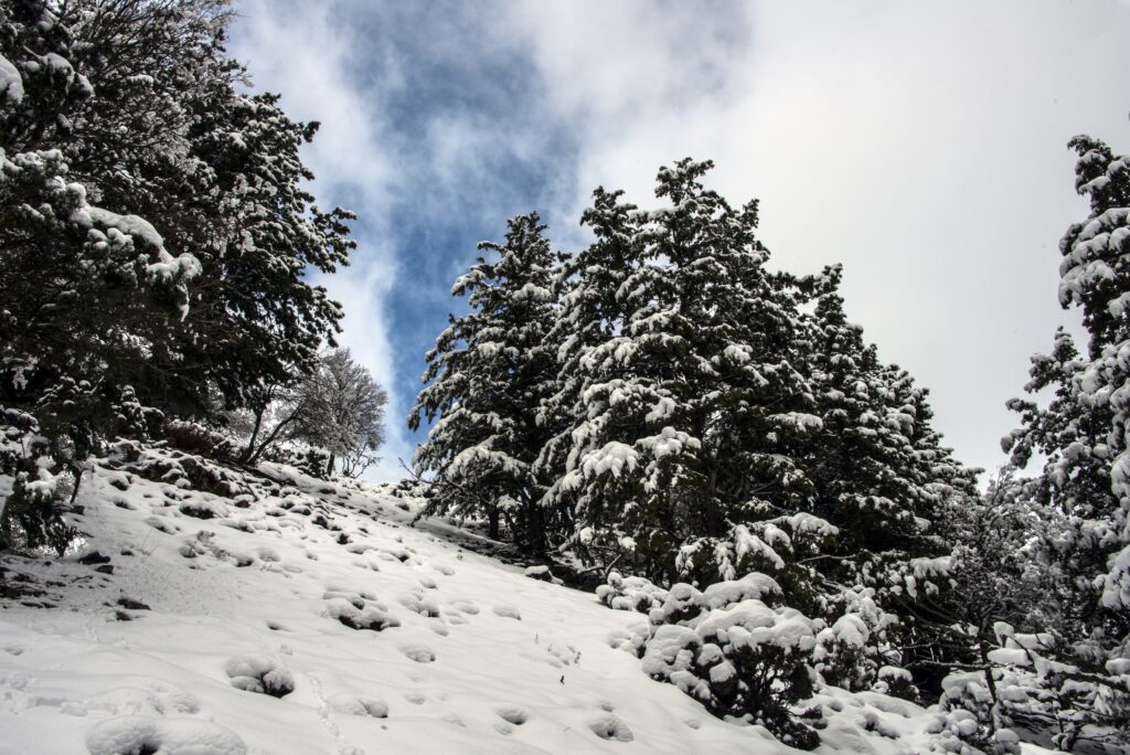 χανιά-χιονισμένος-ομαλός-σαν-από-παρα-2037663