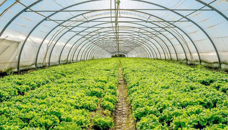 ξεκινάει-πρόγραμμα-ενίσχυσης-θερμοκ-2048774