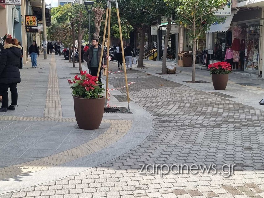 αποκριάτικες-επισκέψεις-σαφάρι-ελέ-2047196