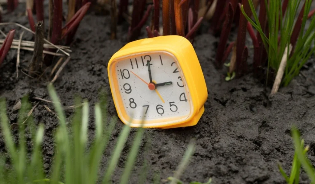 αλλαγή-ώρας-και-κιρκάδιος-ρυθμός-τι-αν-2055599