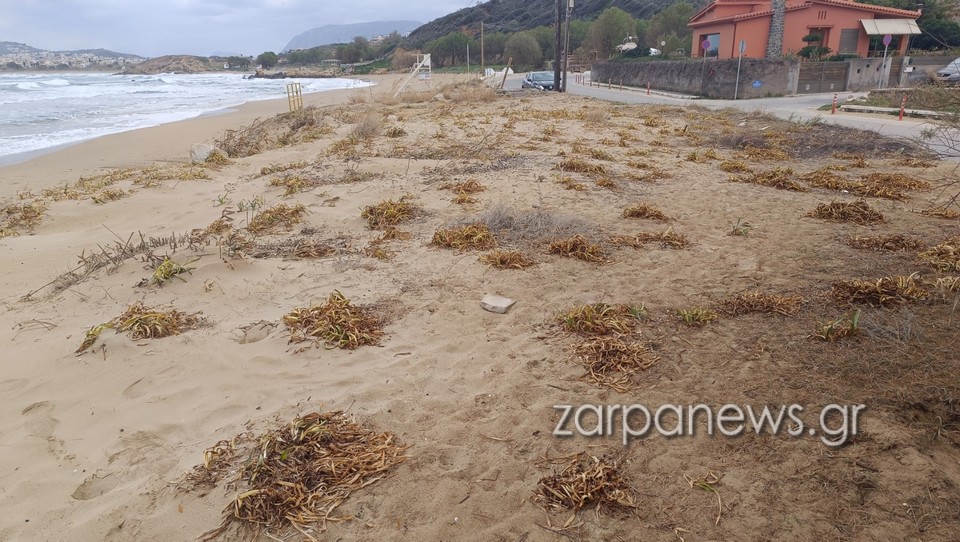 με-δηλητήρια-ξέραναν-τα-κρινάκια-στη-χ-2069949