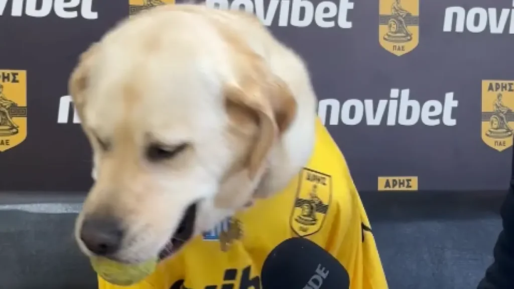 η-συνέντευξη-του-σκύλου-του-άρη-τι-τ-2081117