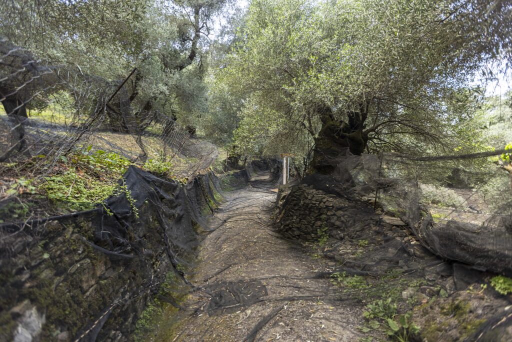 χανιά-περπατάμε-τα-μονοπάτια-του-δήμο-2068132
