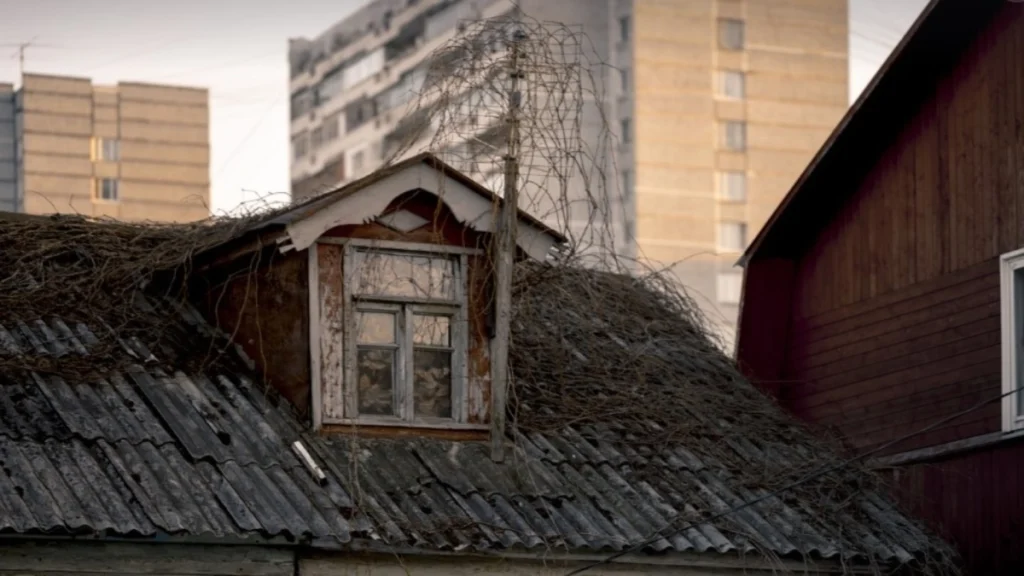 εφιάλτης-στη-σοφίτα-γυναίκα-ανακάλ-2070475