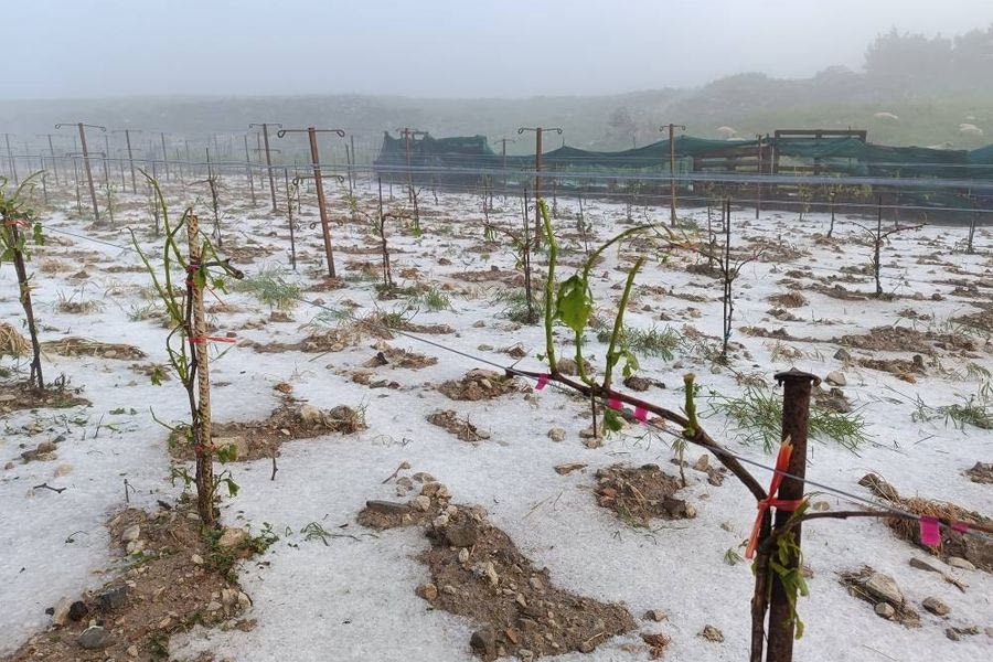 κρήτη-από-την-ξαστεριά-βρεθήκαμε-σε-2080574