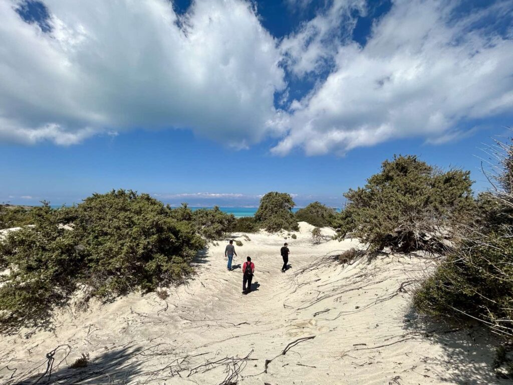 κρήτη-απαγορεύεται-η-αποβίβαση-επισκ-2074681