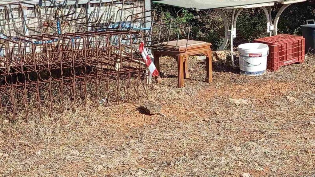 δύο-προσαγωγές-για-την-δολοφονία-στη-ρ-2097575
