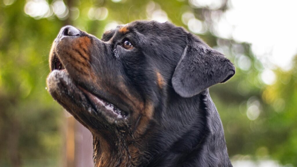 θεσσαλονίκη-38χρονος-πήγε-για-ληστεία-σ-2092093