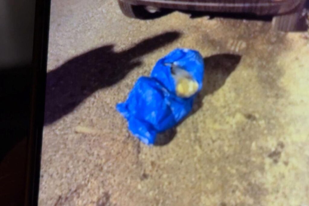 οι-άγριοι-καυγάδες-τα-προβλήματα-και-ο-2096128