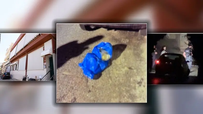 διεκδικούν-την-επιμέλεια-του-νεογένν-2101288