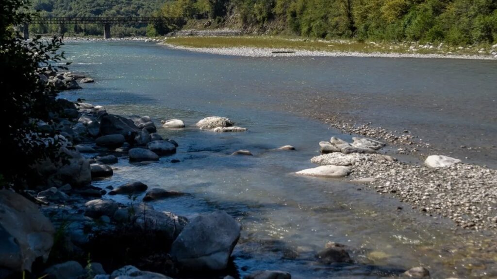 τρία-τα-παιδιά-που-ανασύρθηκαν-χωρίς-α-2108516