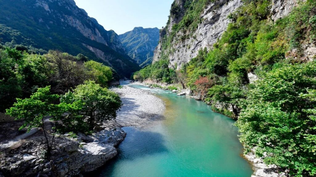 άραχθος-με-πολυοργανικές-βλάβες-τα-2-πα-2109289