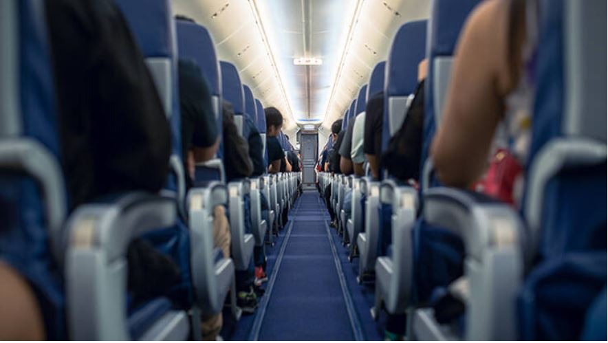 αλεπουδάκι-βρέθηκε-σε-παιδική-χαρά-το-2131339