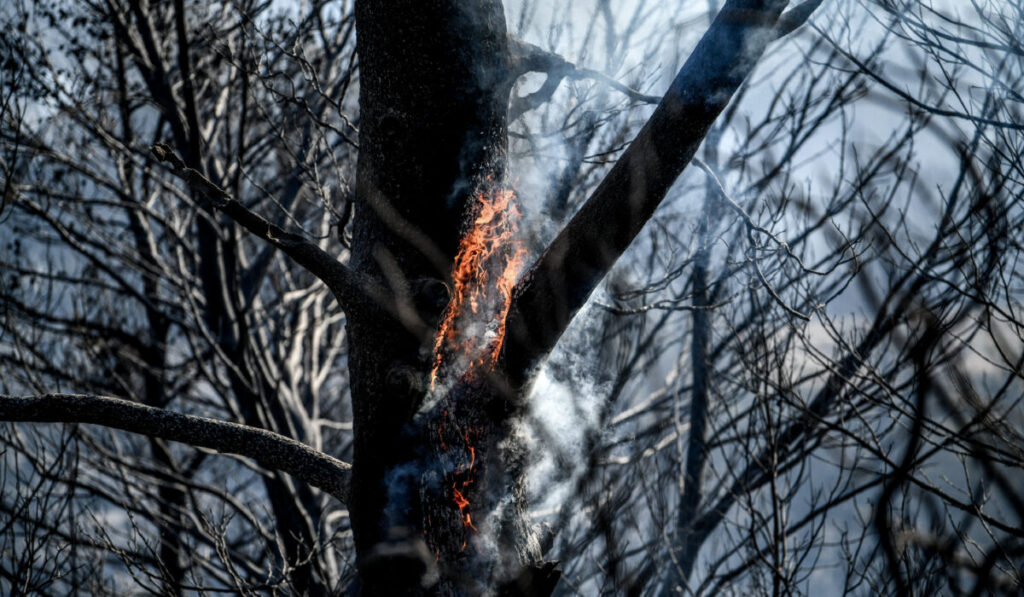 οι-σπίθες-που-ταξιδεύουν-τι-είναι-η-κηλ-2120982