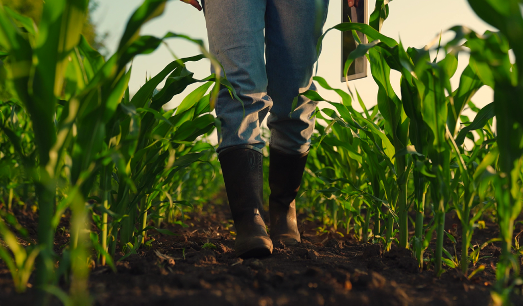 χανιά-ένας-διαρκής-ακήρυχτος-πόλεμο-2121007