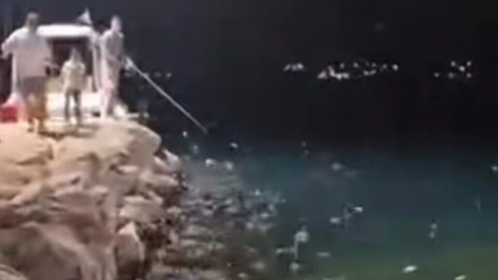 θαλάσσιο-σόου-στην-εύβοια-τρελάθη-2146423