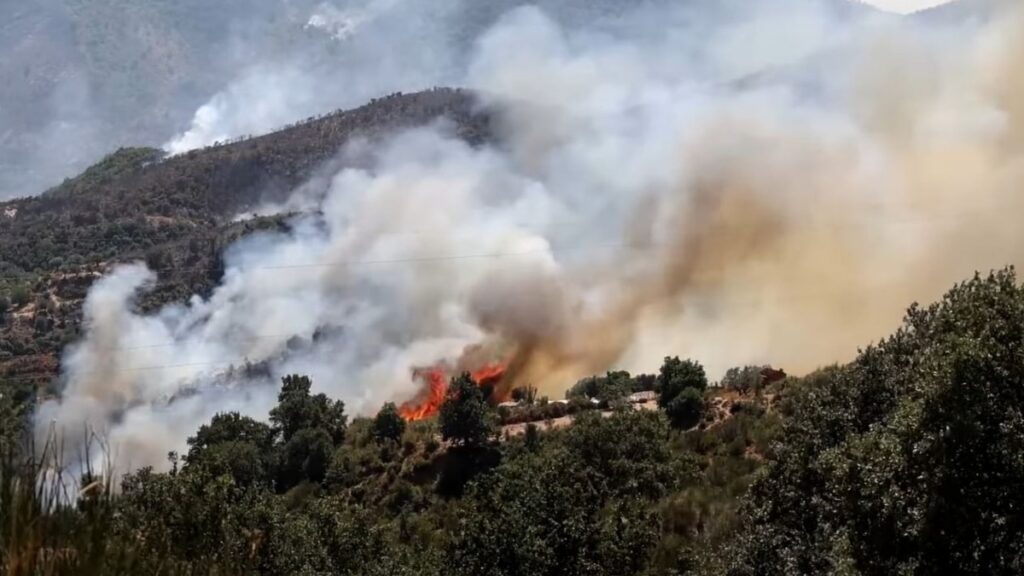 λάρισα-φωτιά-σε-δασική-έκταση-στον-δήμ-2145804