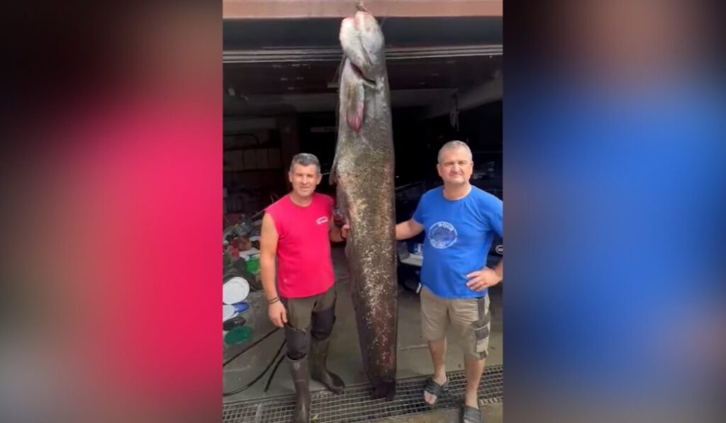 απίστευτη-ψαριά-στην-κοζάνη-έβγαλαν-γ-2142483