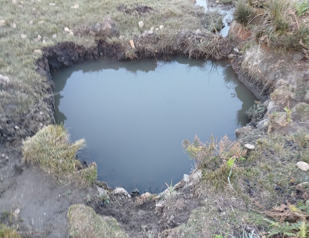 έφτιαξαν-τη-ζημιά-αλλά-δίψασαν-τα-ζώα-π-2174078