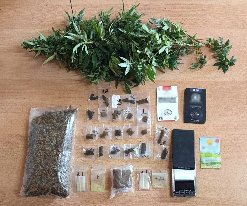 κρήτη-δενδρύλλια-σπόρους-ακατέργαστ-2167171