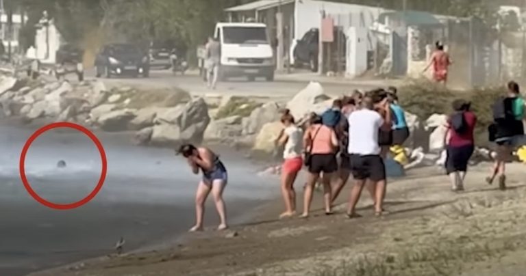 τουρίστας-εκτινάχθηκε-στη-θάλασσα-απ-2156066