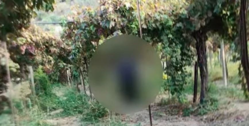 κρήτη-τους-τσάκωσε-την-ώρα-που-του-έ-2187128