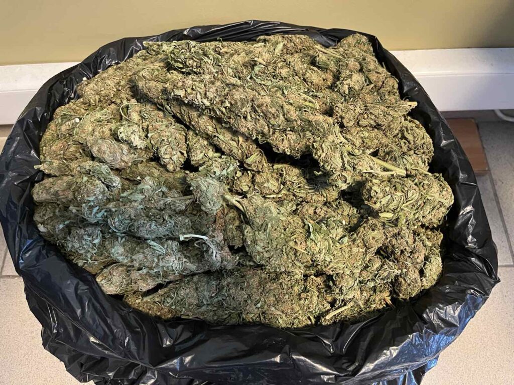 κρήτη-τον-έπιασαν-καθώς-εκτελούσεκ-2176055