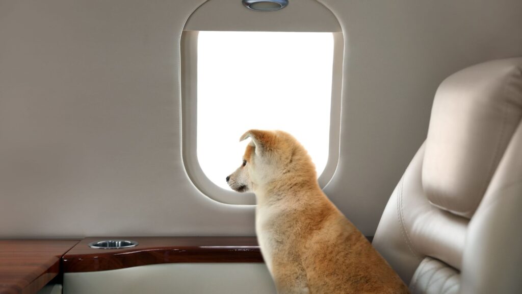 το-ευρωπαϊκό-δικαστήριο-έκρινε-ότι-τα-2185423