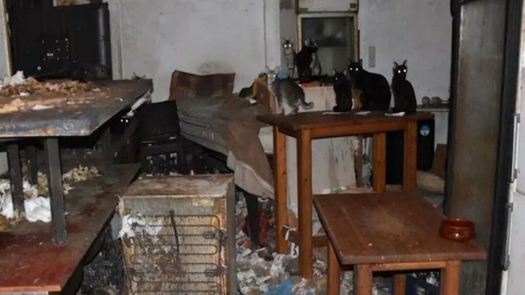 πρόστιμο-μαμούθ-17-εκατομμύρια-ευρώ-σε-63-2204006