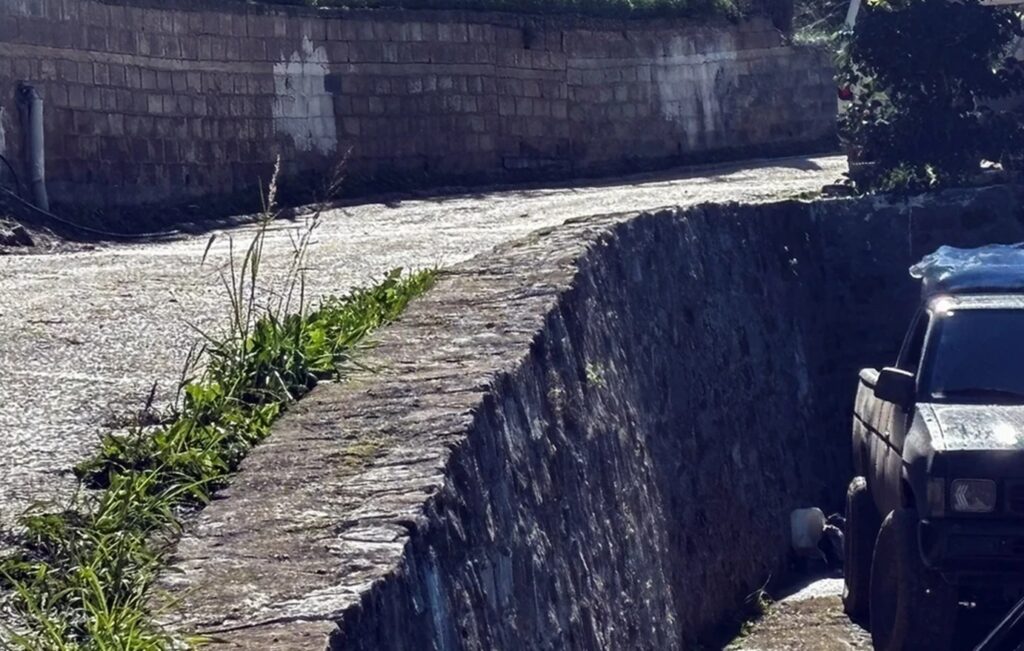 με-γουρούνα-πέσανε-από-τη-μάντρα-δεν-έ-2205532