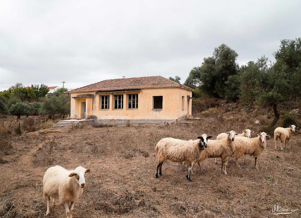 παρουσιάζεται-στα-χανιά-το-φωτογραφι-2209799