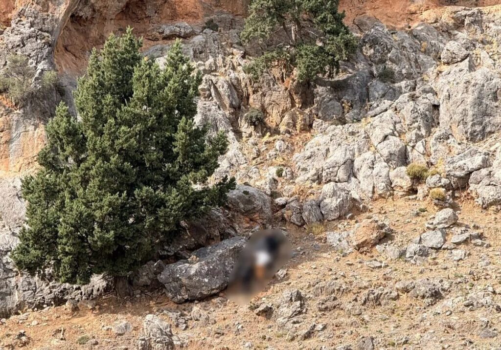 βορίζια-δείτε-φωτογραφίες-από-την-σπη-2199748