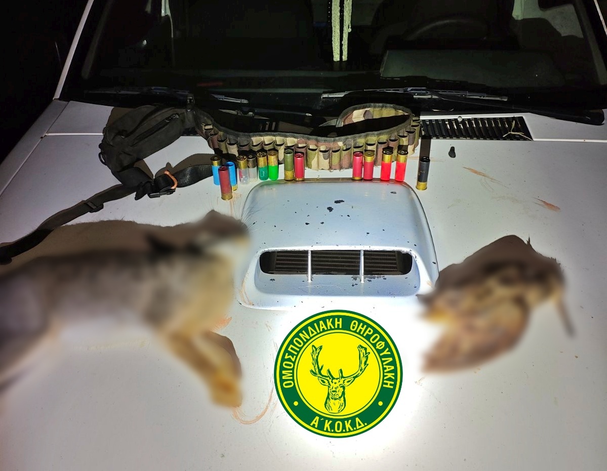 Νυχτερινό ανθρωποκυνηγητό στην Κρήτη: Θηροφύλακες «έπιασαν στα πράσα» λαθροθήρα 3 Νυχτερινό ανθρωποκυνηγητό στην Κρήτη: Θηροφύλακες «έπιασαν στα πράσα» λαθροθήρα