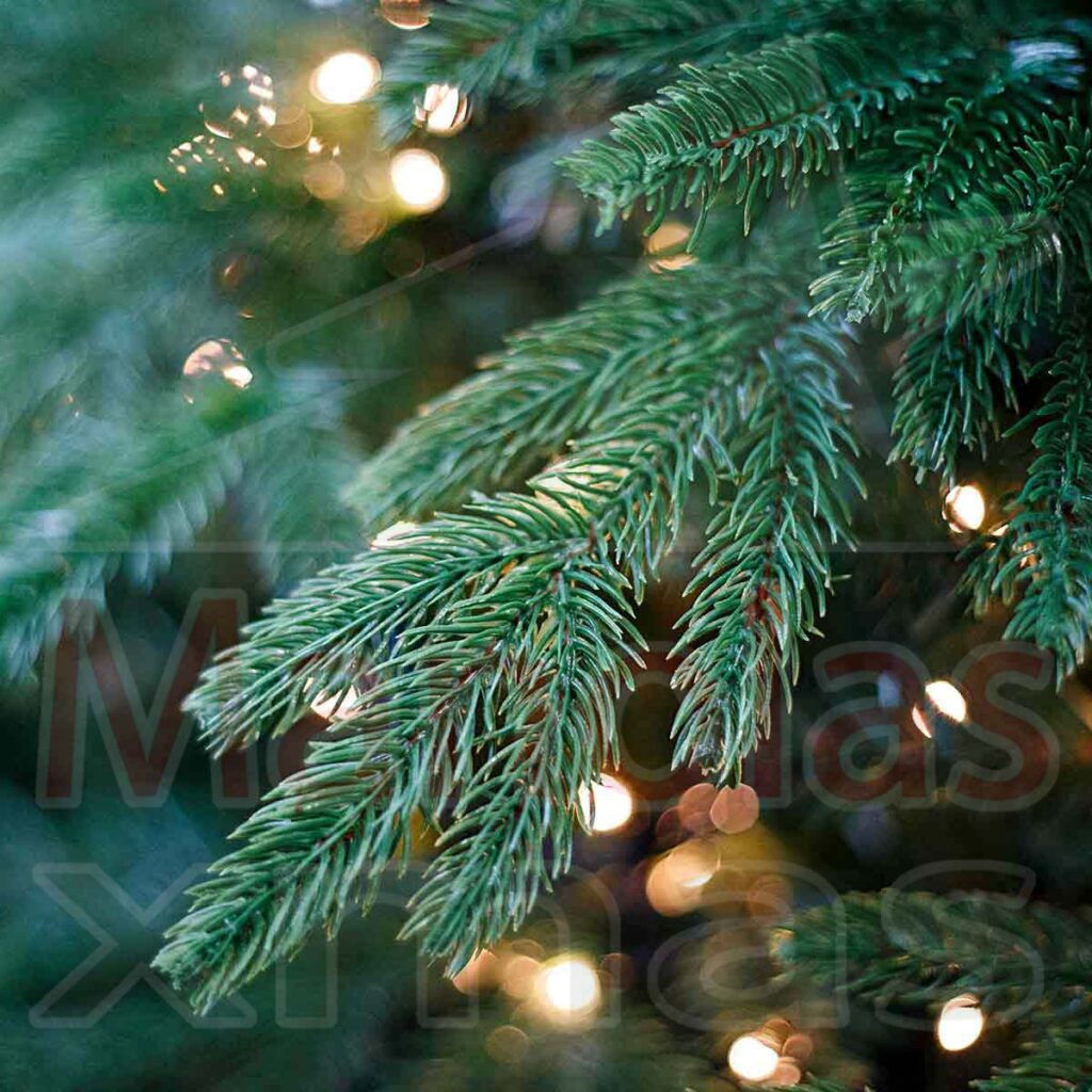 το-κόλπο-για-να-διατηρήσετε-το-φυσικό-χ-2222751